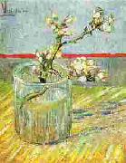 Vincent Van Gogh Blooming Almond Stem in a Glass oil on canvas